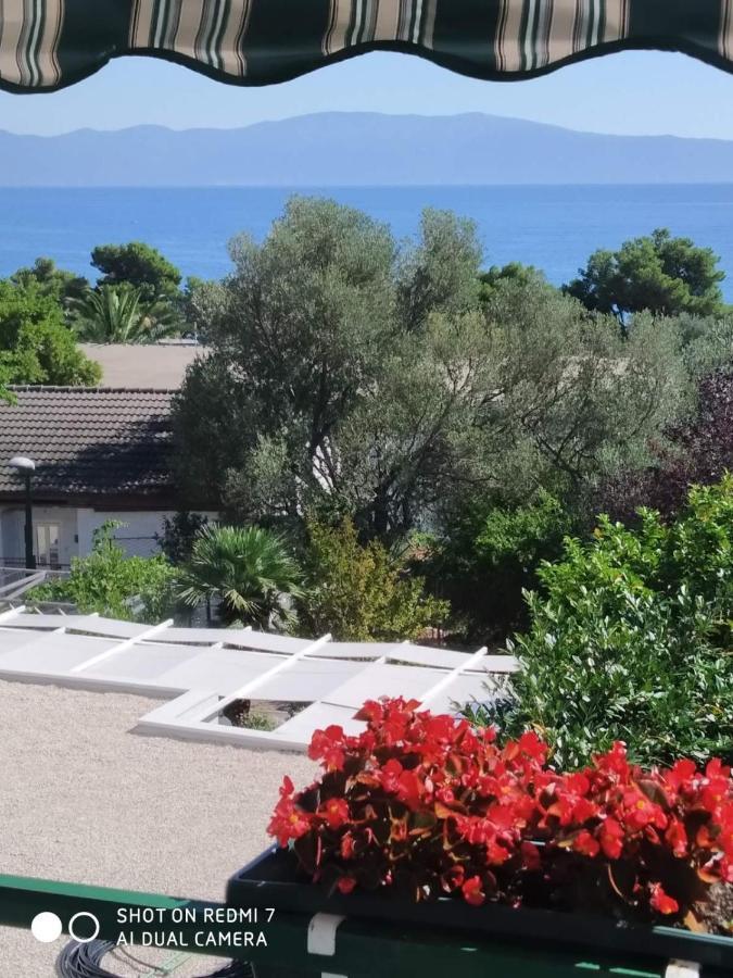 Apartmani Glavina Zaostrog Exteriér fotografie